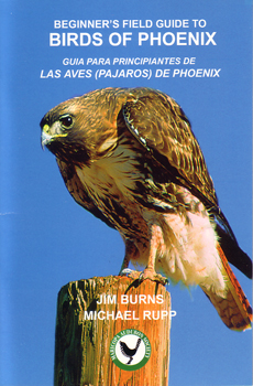 A Beginner's Field Buide to Birds of Phoenix