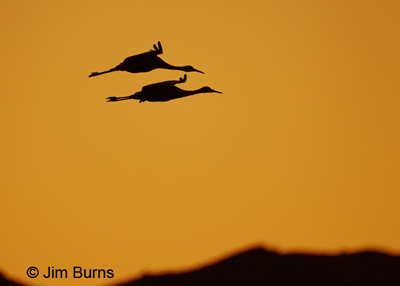 Sunset over the Chupaderas