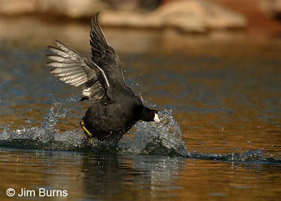 What's wrong with this picture?