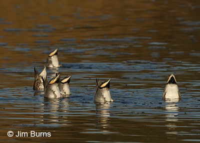 What's going on here?