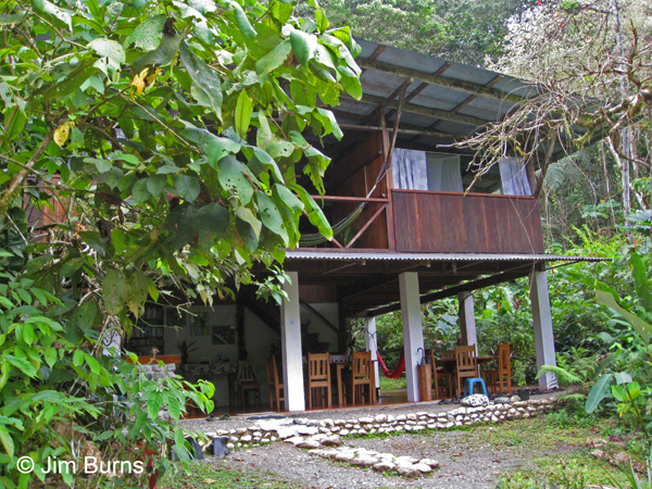Bosque del Rio Tigre