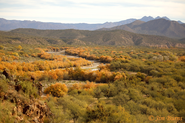 Four Peaks