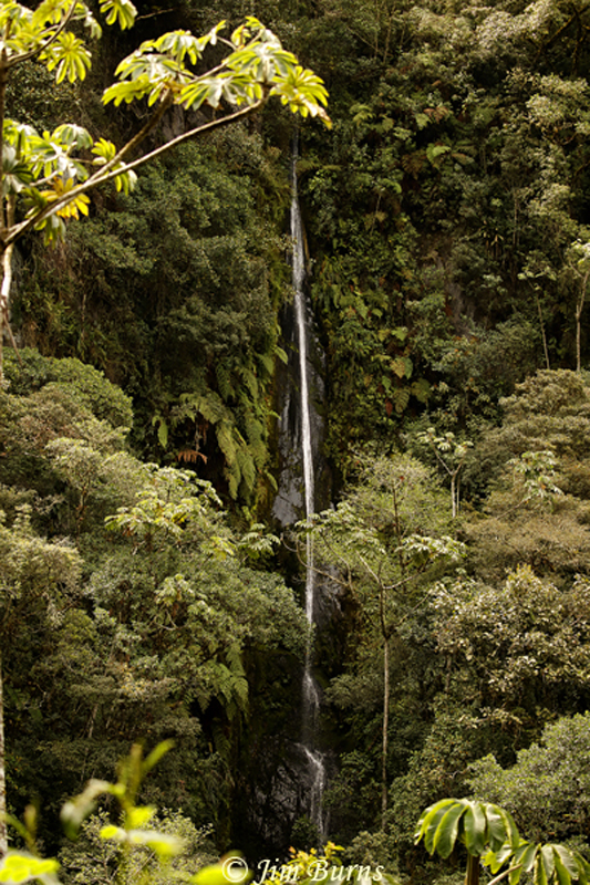 Waterfall on Manu Road