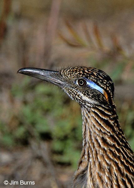 These colors don't run