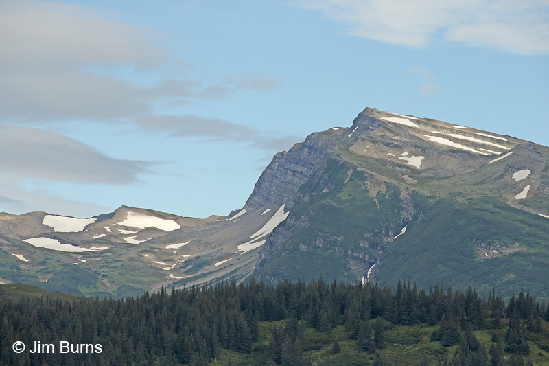 Silver Salmon Valley