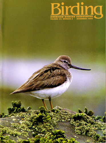 Birding December 2000