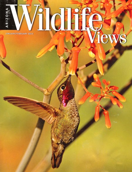 Arizona Wildlife Views, January/February 2013